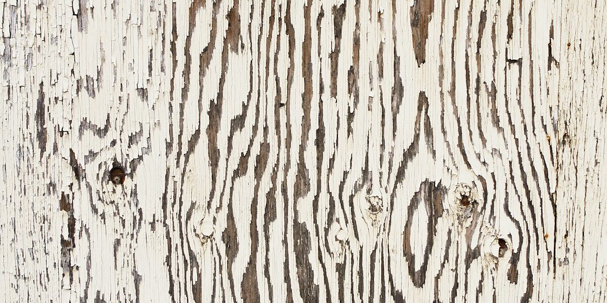 Quick Tip: The Right Brush Makes All the Difference