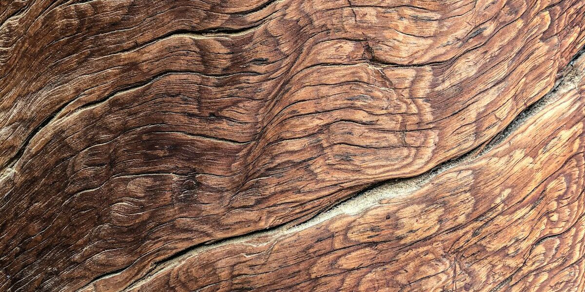 300 Years of Shine: The French Polish Technique Masters Still Use