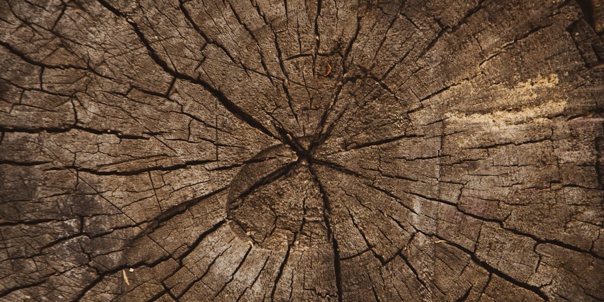 Perfect Finishes for a Beautiful Cutting Board