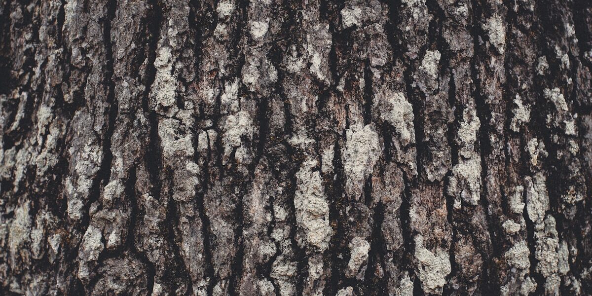 Best Finishes for a Stunning Cutting Board