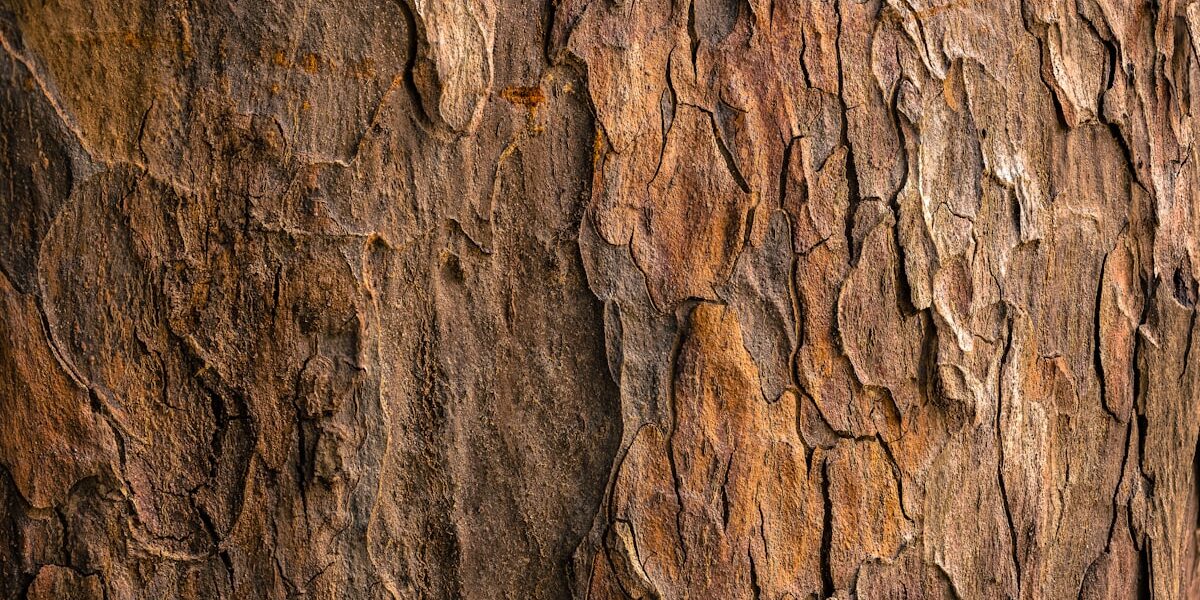 Revitalize Your Space with Hard Oil Finish